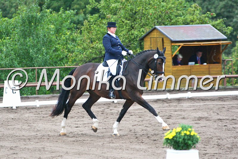 009M8043_Future Dream P_Dressur M_e.JPG